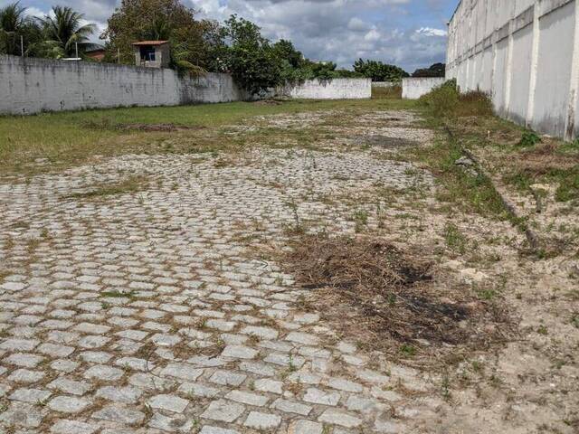 #2252 - Galpão para Locação em Horizonte - CE - 3