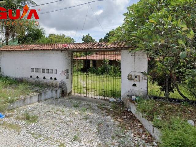 #3378 - Terreno para Venda em Eusébio - CE - 1