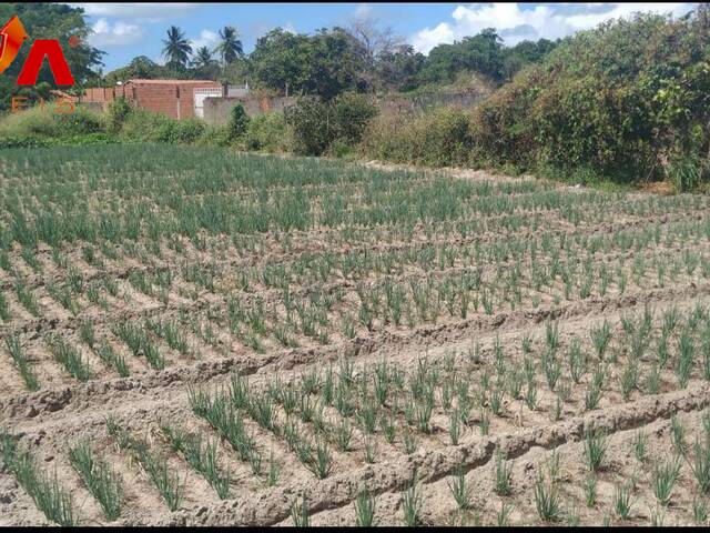 #3789 - Terreno para Venda em Eusébio - CE - 3