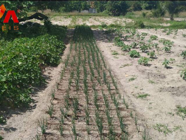 Terreno para Venda em Eusébio - 4