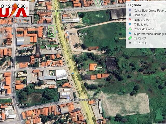 Terreno para Venda em Horizonte - 4
