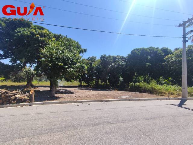 Área para Venda em Cascavel - 5