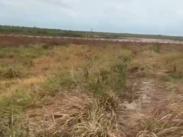 #4448 - Terreno para Venda em Cascavel - CE - 3