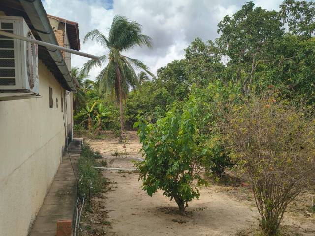 Área para Venda em Eusébio - 4