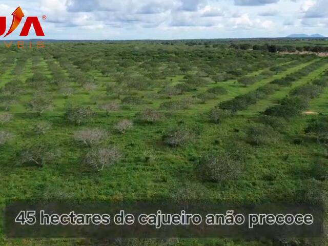 Fazenda para Venda em Aracoiaba - 4