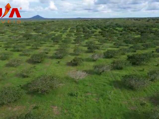 #4786 - Fazenda para Venda em Aracoiaba - CE - 1