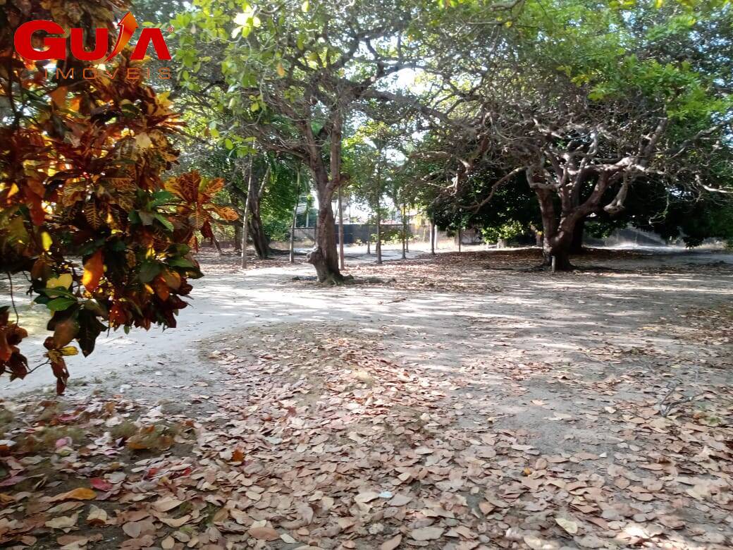 Terreno, 8747 m² - Foto 5