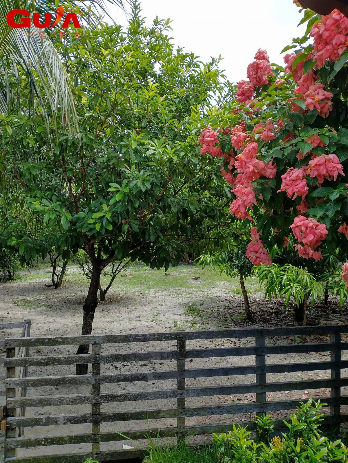 Casa, 3 quartos, 120 m² - Foto 20