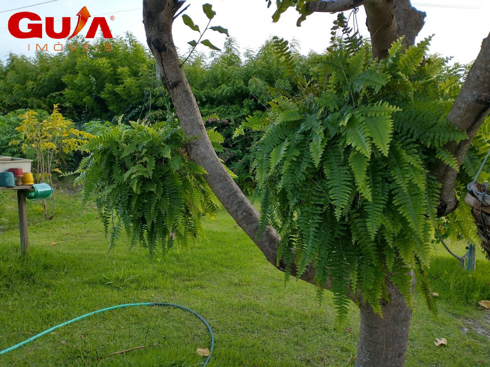 Casa, 3 quartos, 120 m² - Foto 22