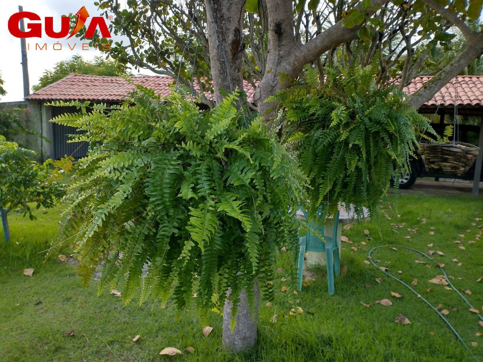 Casa, 3 quartos, 120 m² - Foto 24