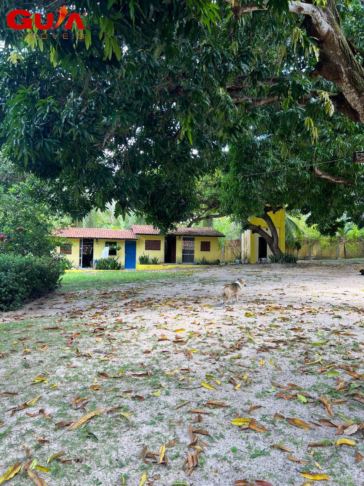 Sítio à venda com 2 quartos, 400m² - Foto 10