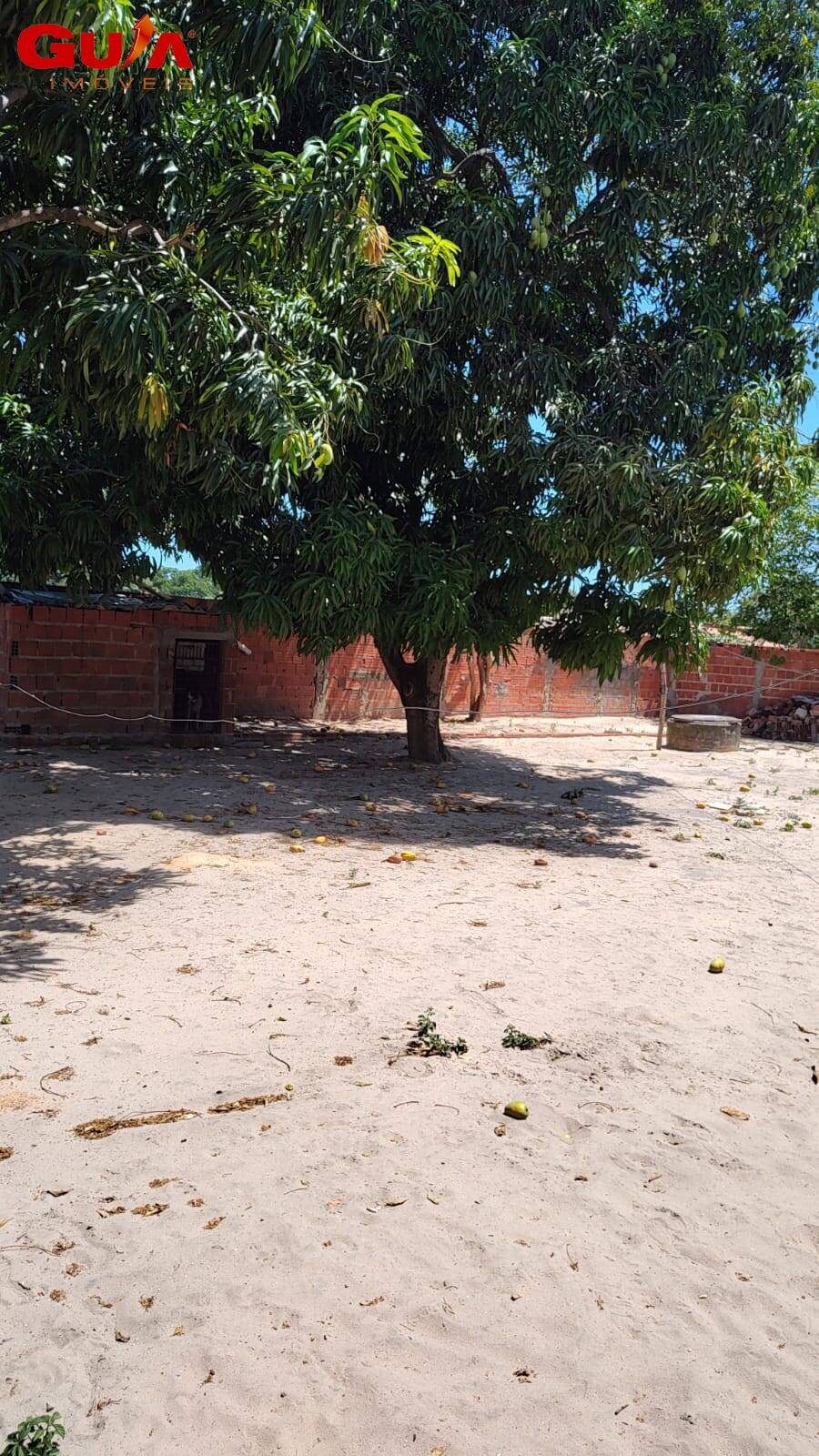Sítio à venda com 3 quartos, 2345m² - Foto 7