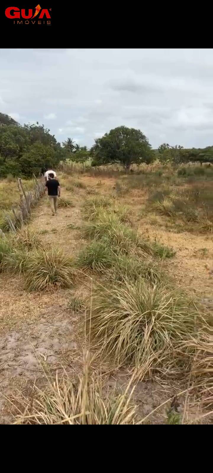 Terreno, 2500 m² - Foto 5