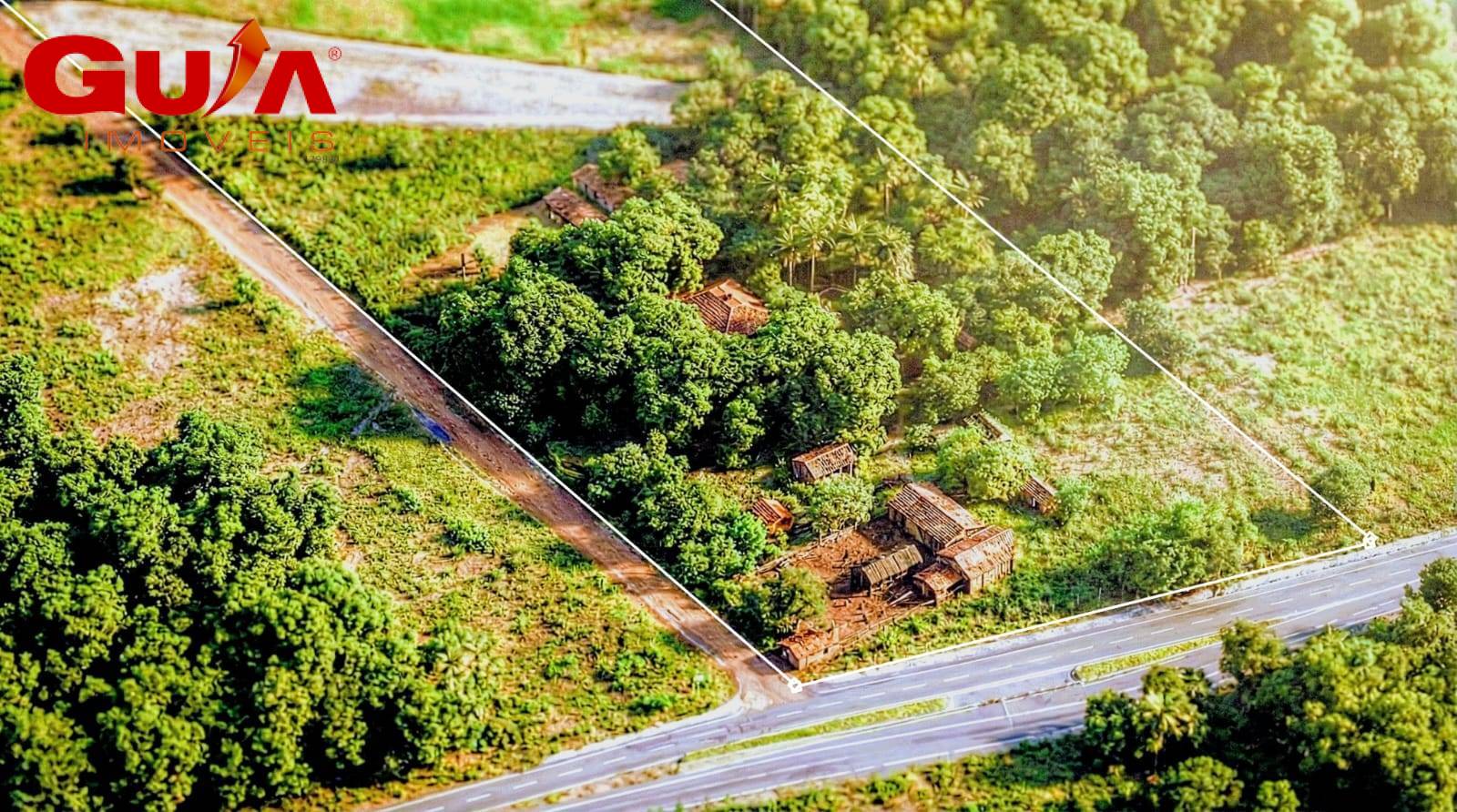 Terreno, 3 hectares - Foto 1