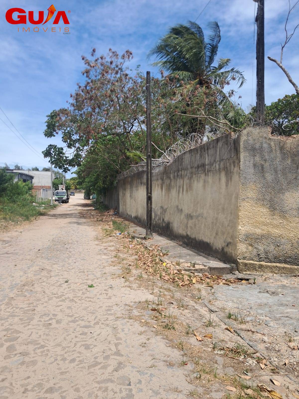 Casa, 5 quartos, 360 m² - Foto 3