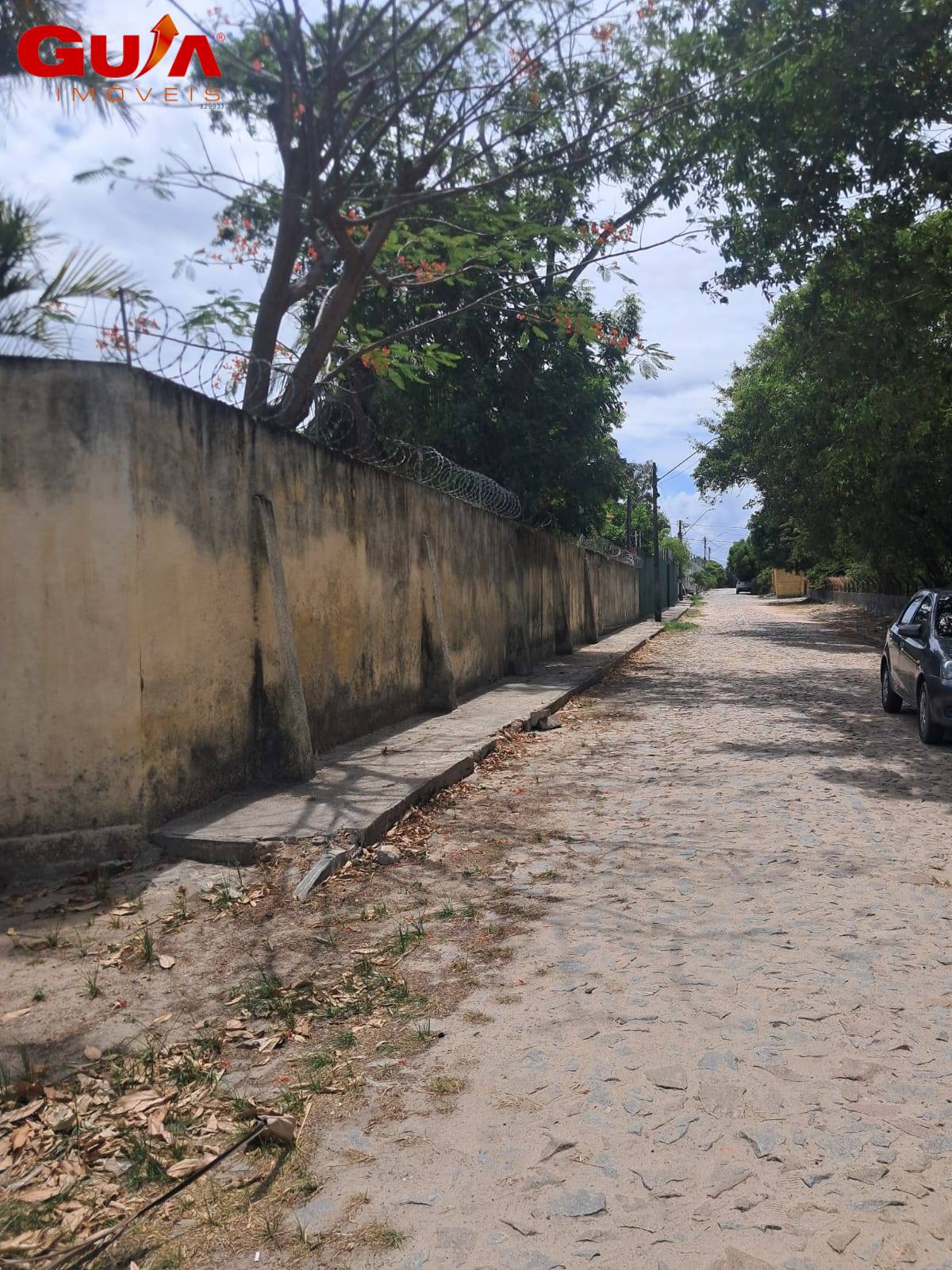 Casa, 5 quartos, 360 m² - Foto 4