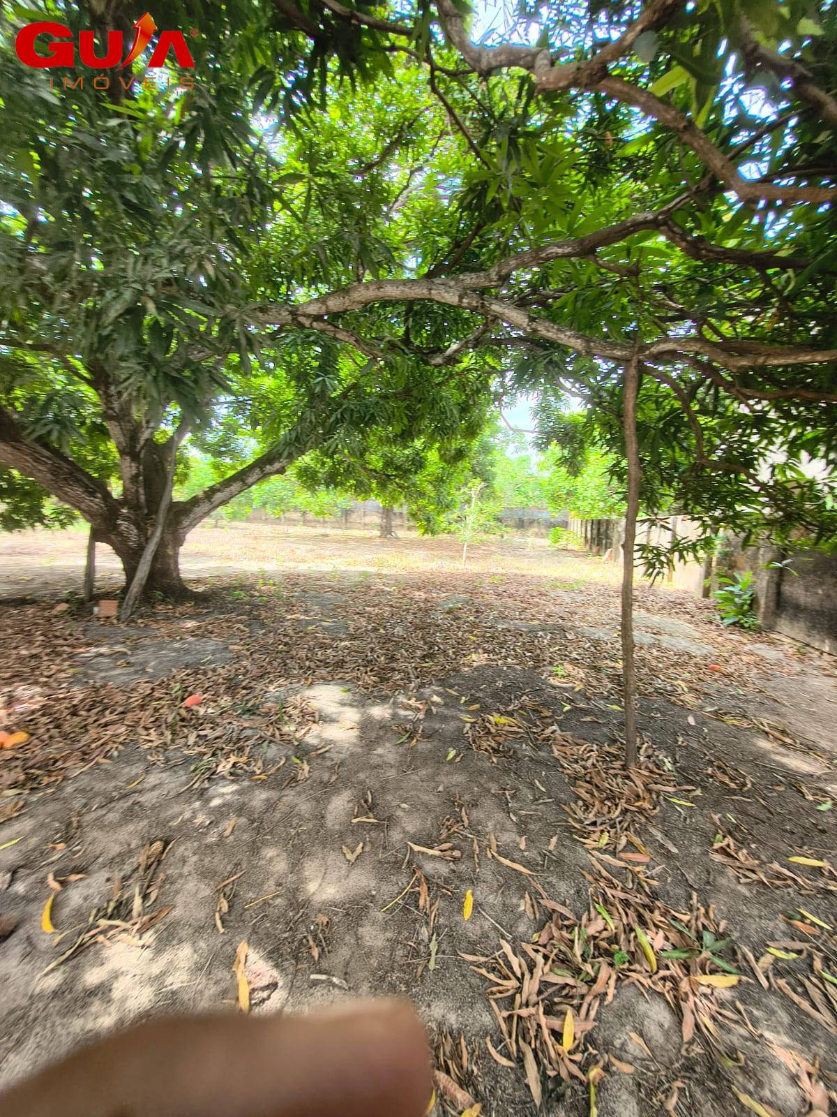 Terreno, 2 hectares - Foto 6