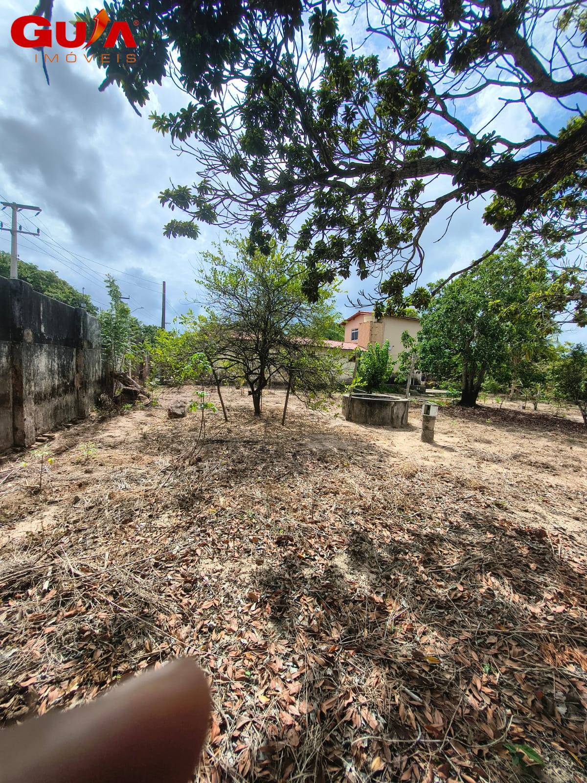 Terreno, 2 hectares - Foto 7