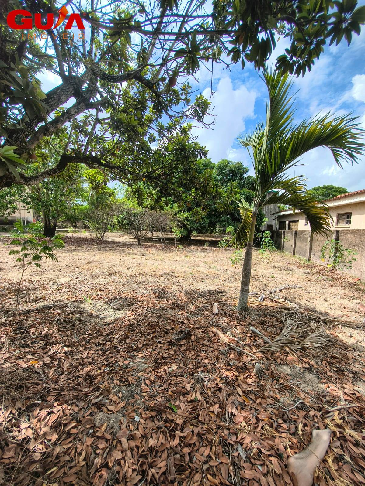 Terreno, 2 hectares - Foto 8