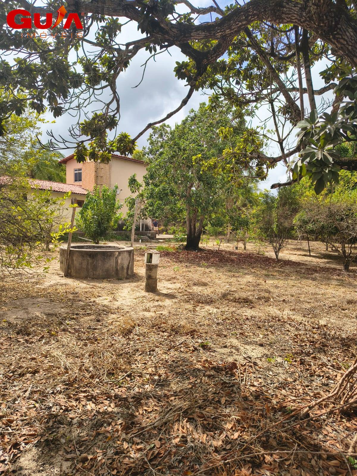 Terreno, 2 hectares - Foto 9