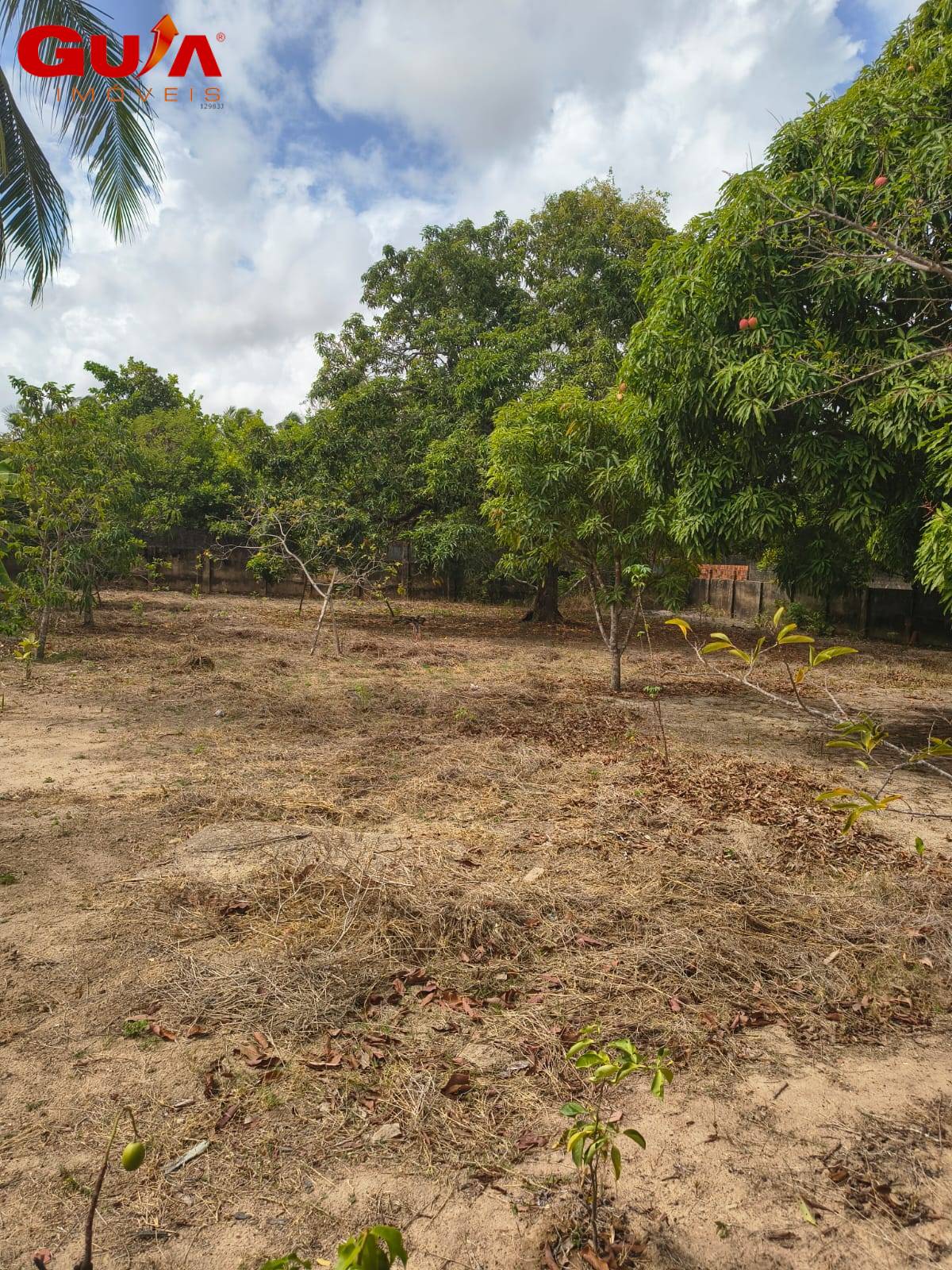 Terreno, 2 hectares - Foto 10