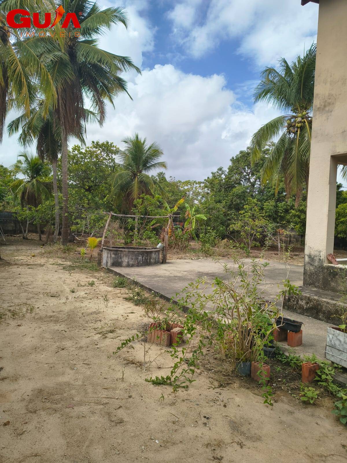 Terreno, 2 hectares - Foto 5