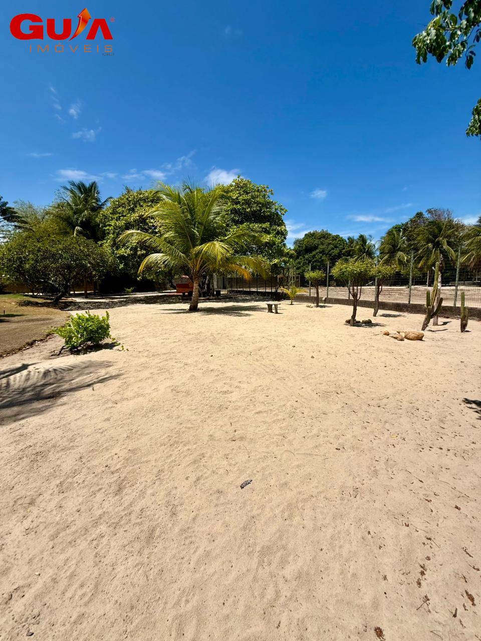 Sítio, 9310 m² - Foto 4