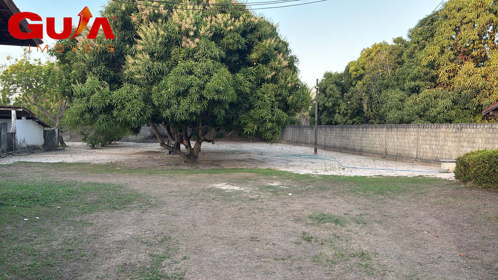 Chácara, 3 hectares - Foto 3