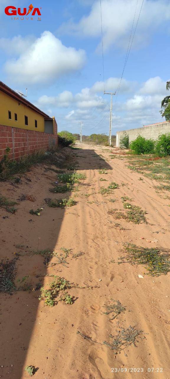 Terreno, 235 hectares - Foto 6