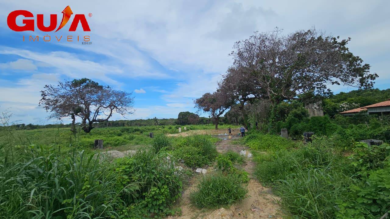 Depósito-Galpão - Foto 2